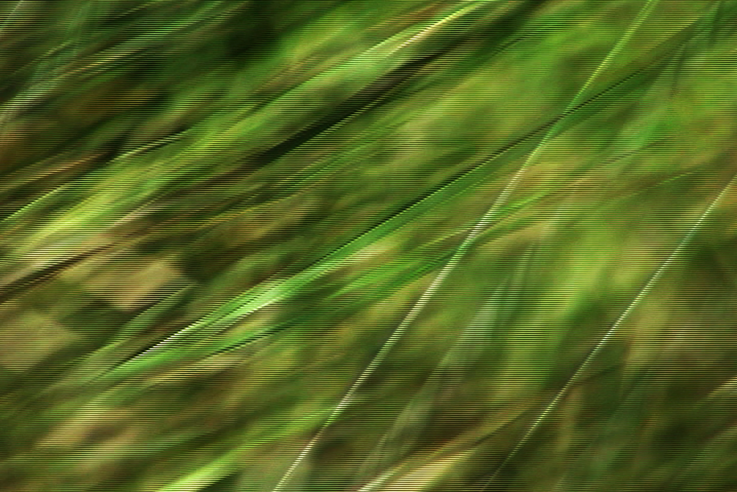 Storm_Detail_1.jpg