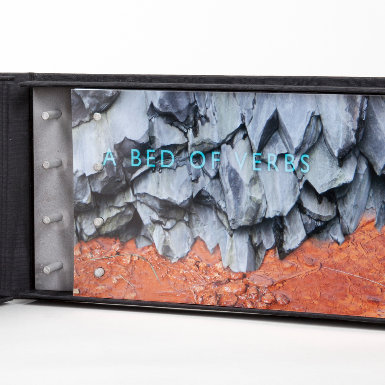 Bed of Verbs &nbsp; &nbsp; &nbsp; &nbsp; &nbsp; &nbsp; &nbsp; &nbsp; &nbsp; &nbsp; &nbsp; &nbsp; &nbsp; &nbsp; &nbsp; &nbsp;&nbsp;