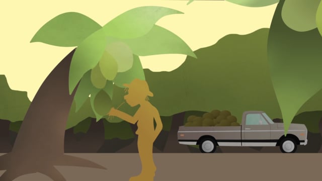Match the Cause Animation