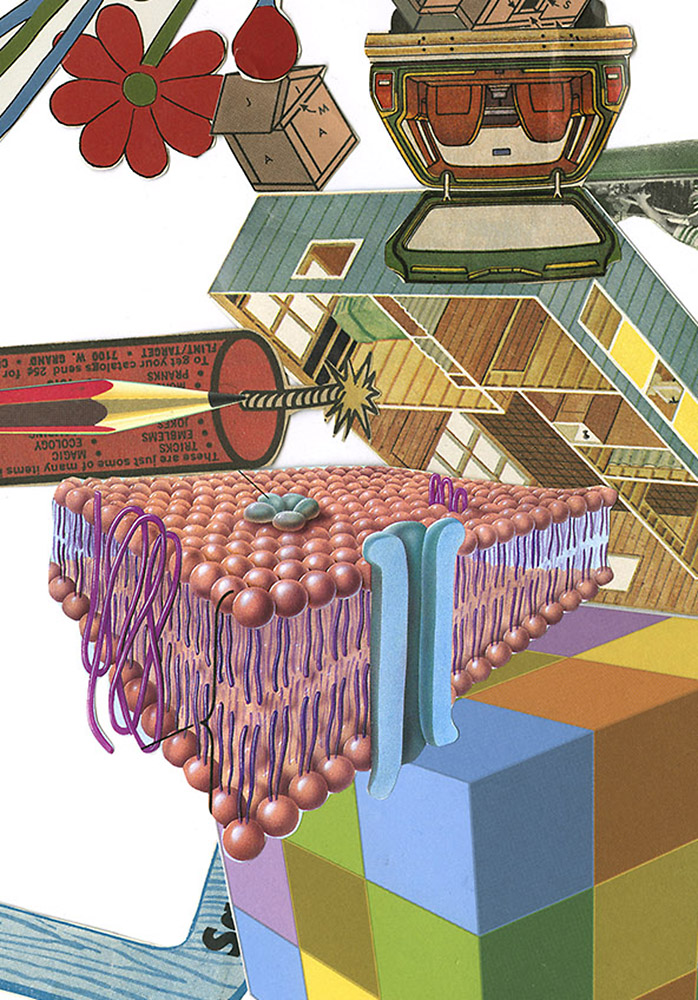 Many multi-motion electronic items probably safe unless downwind, (detail). 