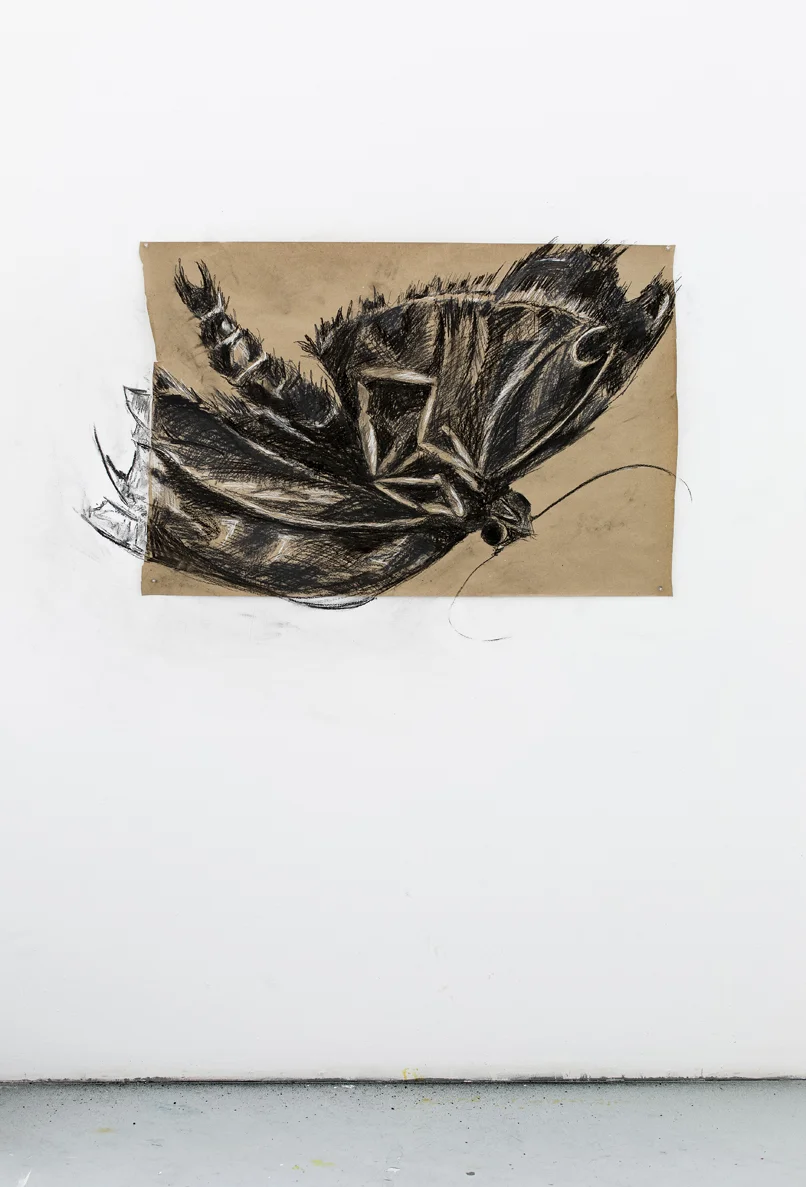 Monique Motut-Firth. Untitled I. Charcoal, conte, kraft paper. Residency: The Banff Centre, Alberta Canada.
