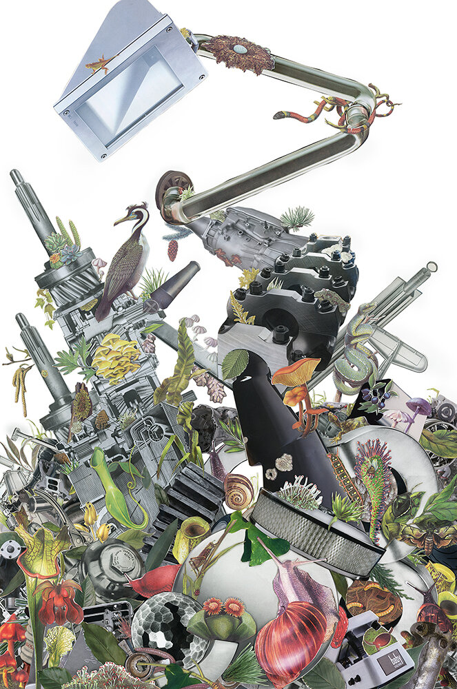 New Territories: Lamp, engine, mushrooms, snails, 2020