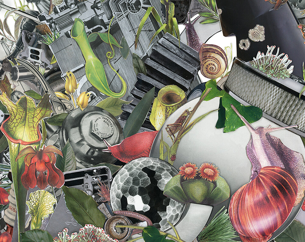 New Territories: Lamp, engine, mushrooms, snails, 2020, detail