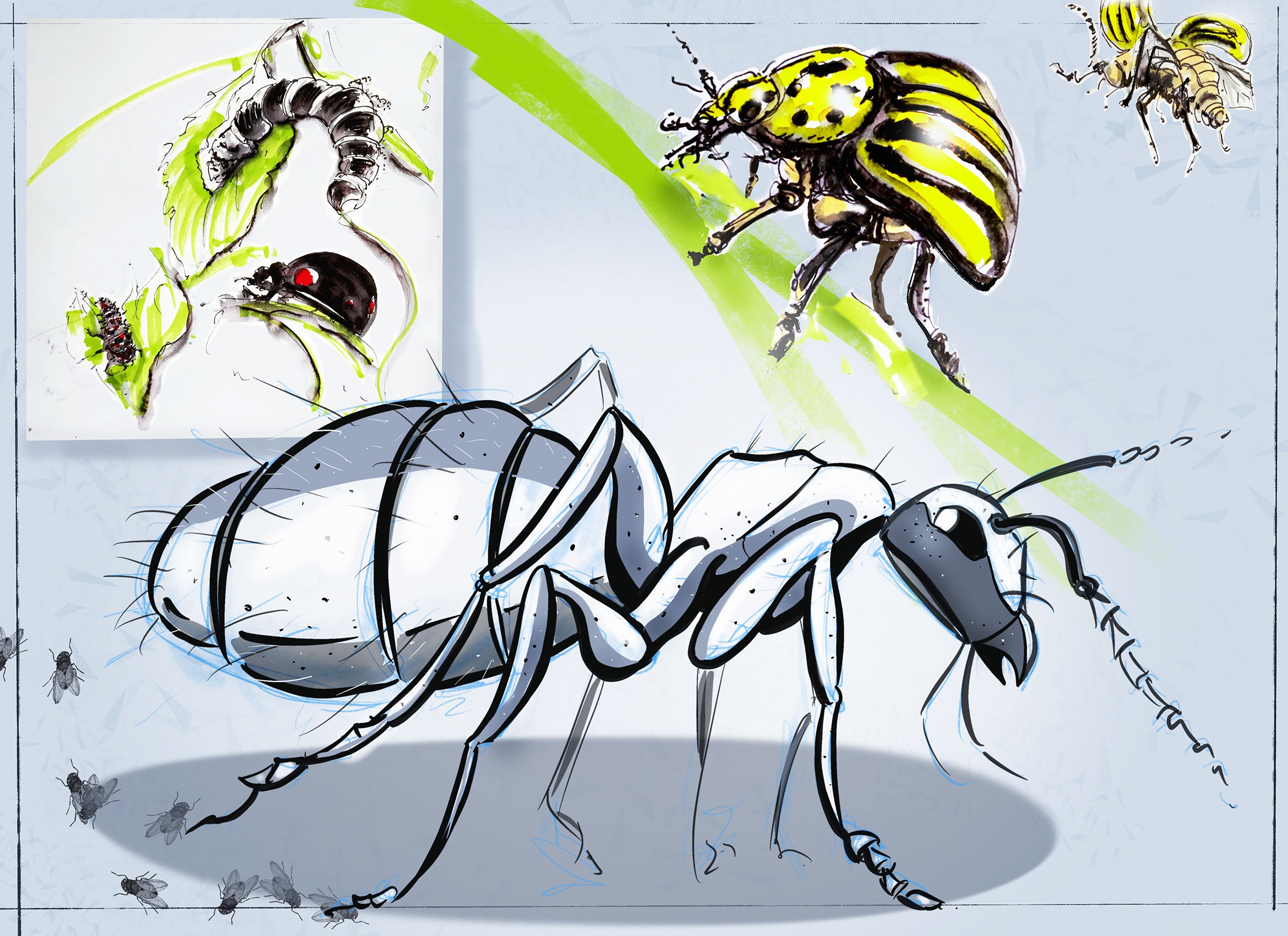 Sketchbook- Insects