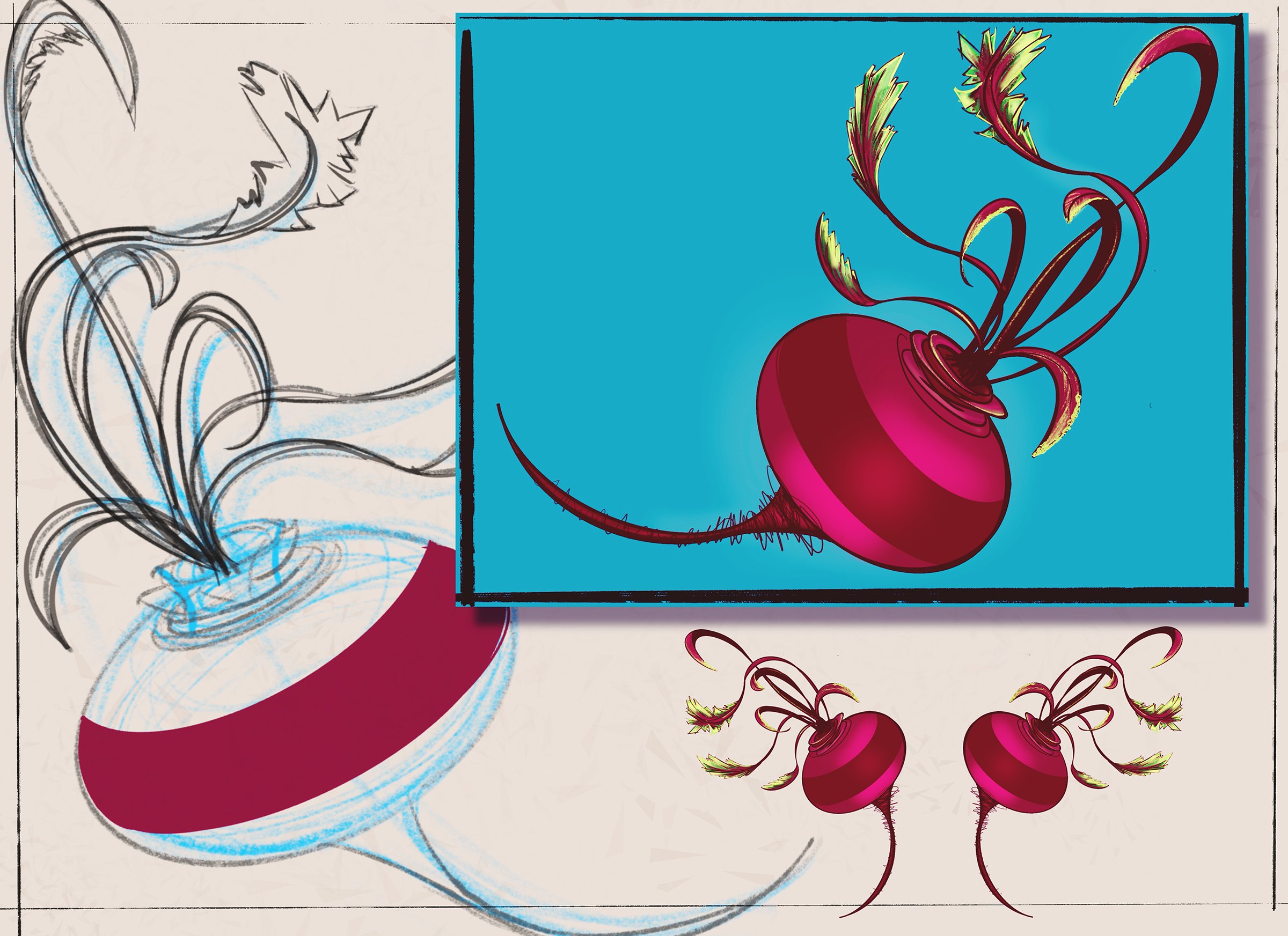 Sketchbook- Beets