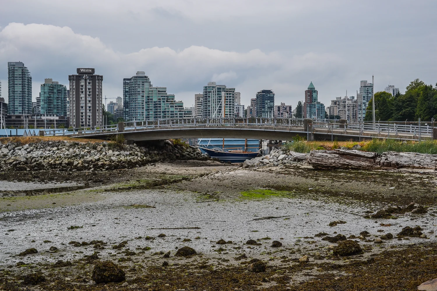 DSC_2490-2.jpg