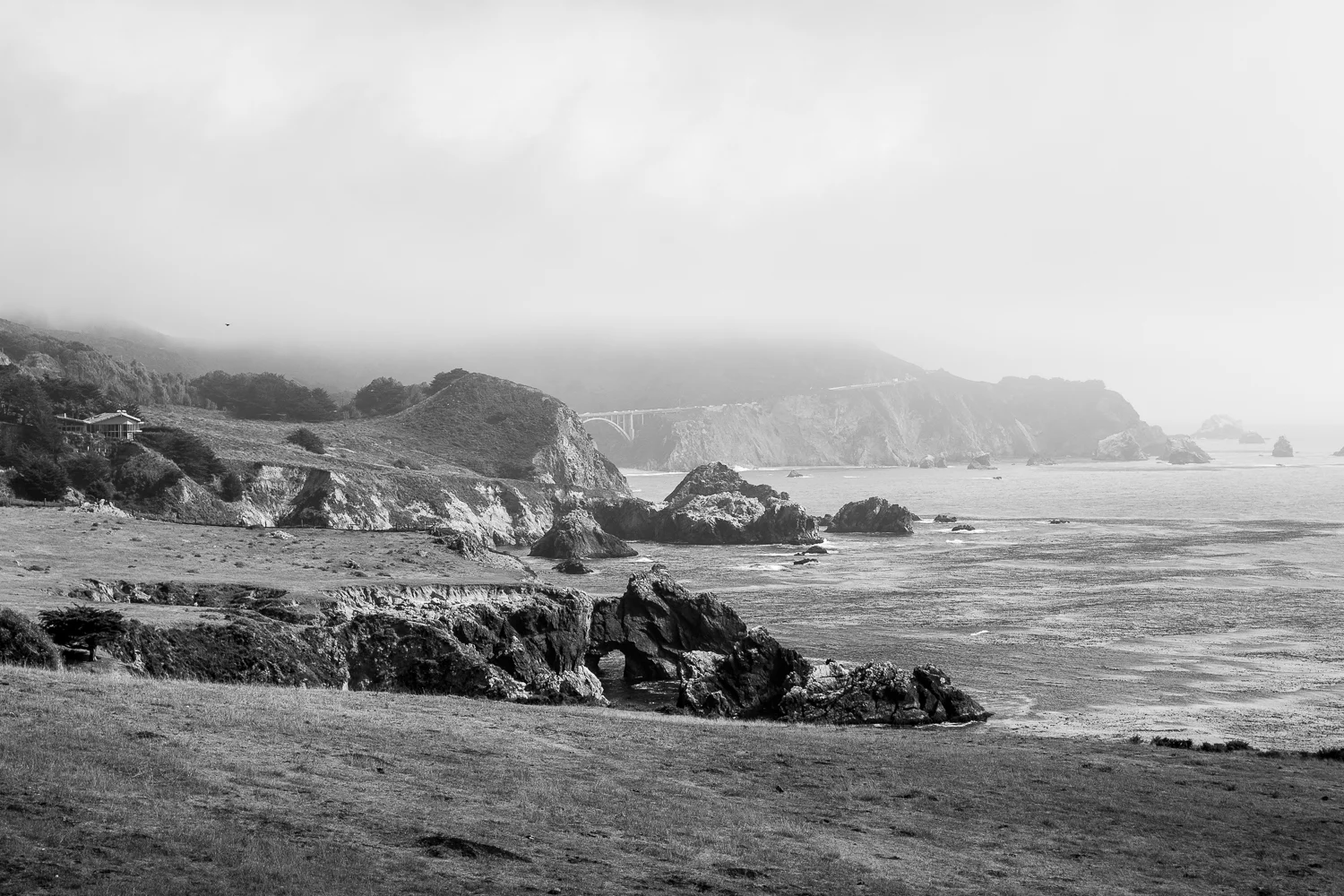 DSC_0017.jpg