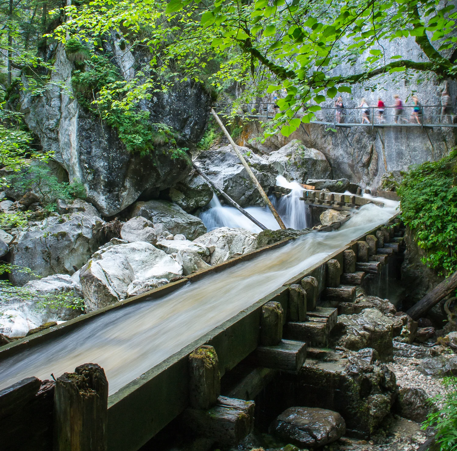 DSC_4559.jpg