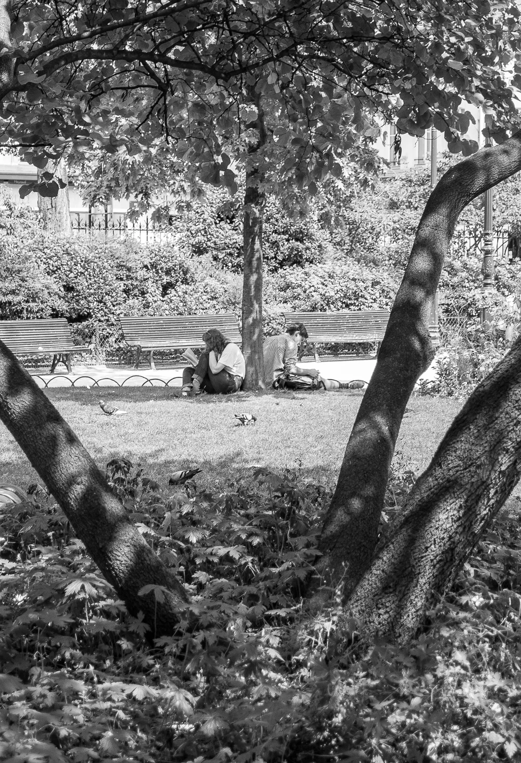 DSC_0067.jpg