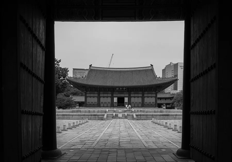 DSC_0480-2.jpg