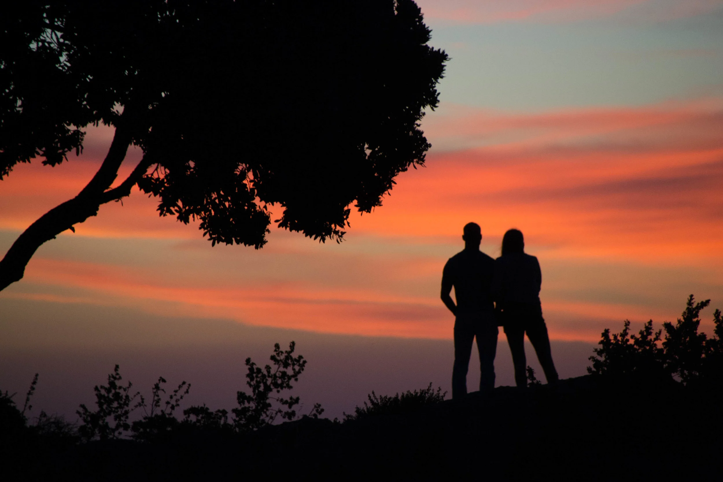 DSC_0138.jpg