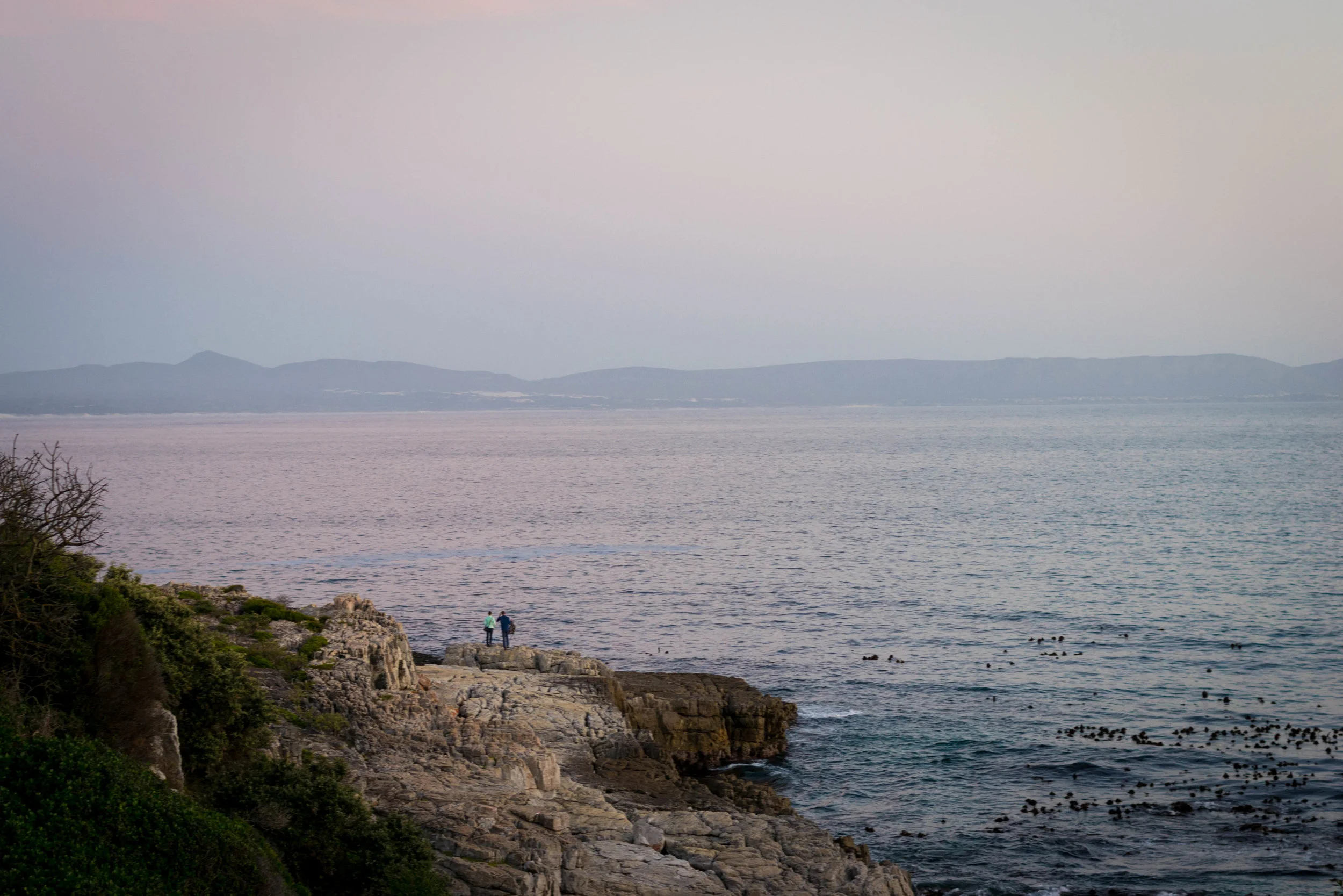 DSC_0100-2.jpg