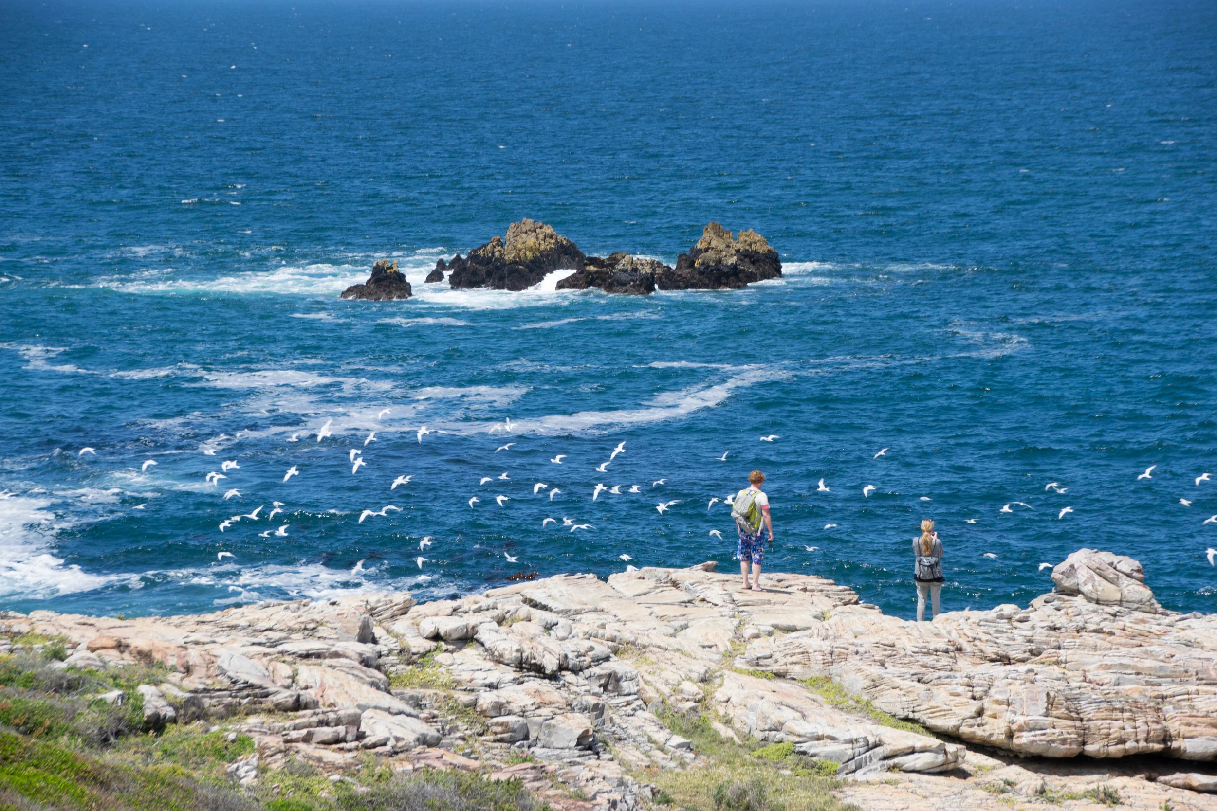 DSC_0207.jpg