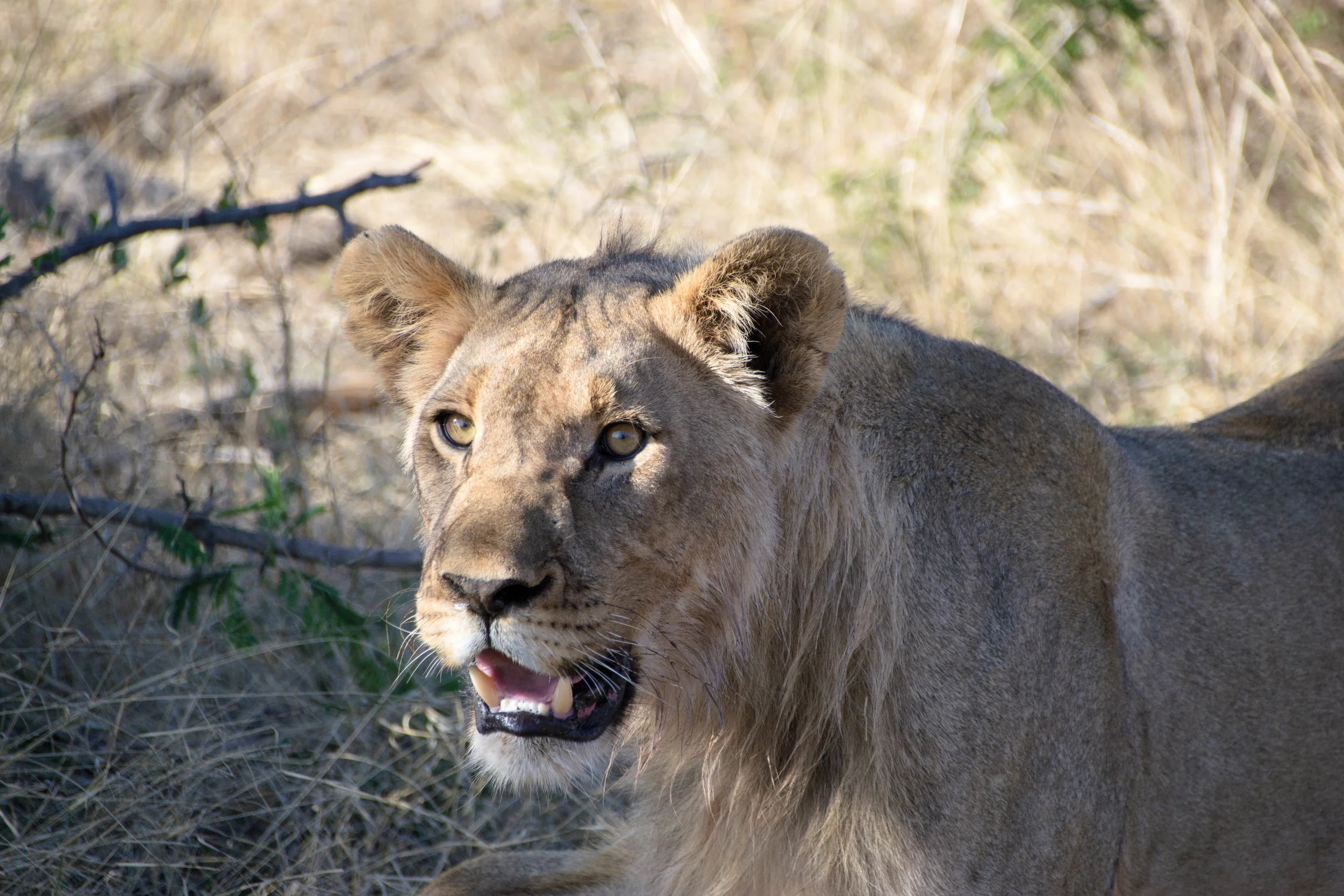 DSC_0712.jpg