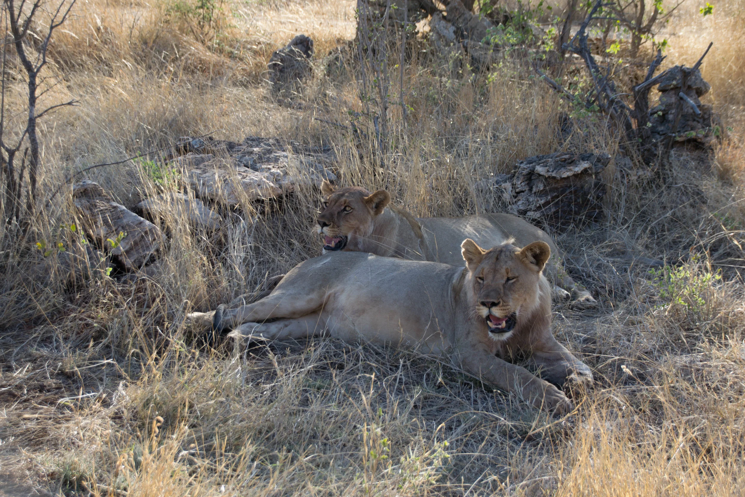 DSC_0819-2.jpg
