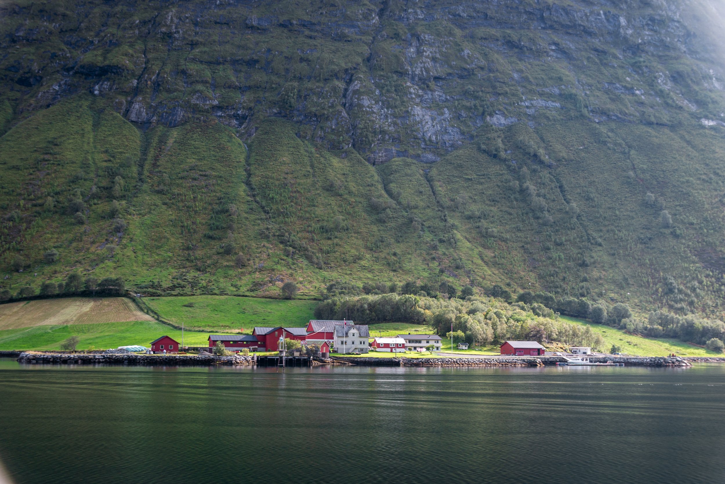DSC_0213.jpg