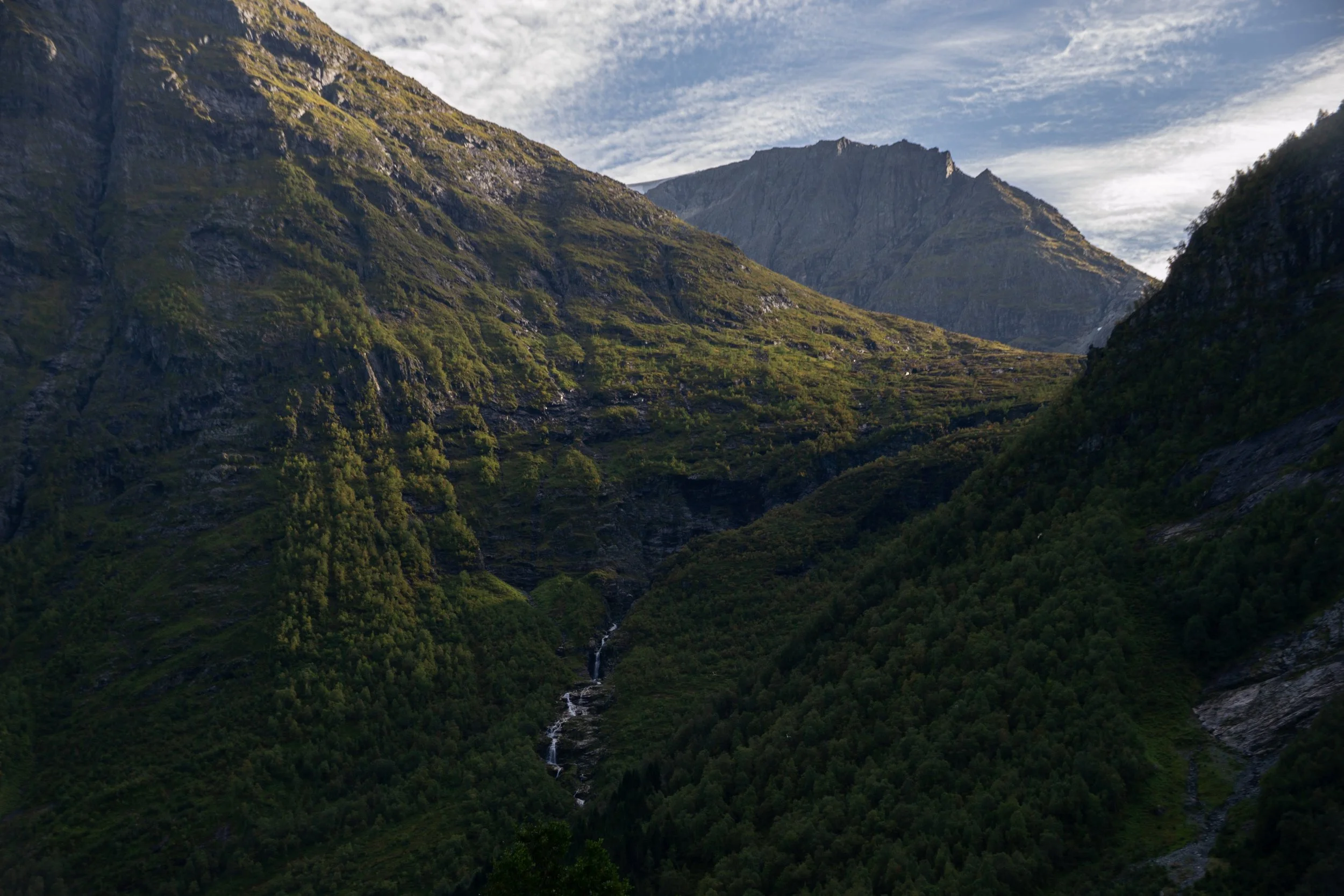 DSC_0271.jpg