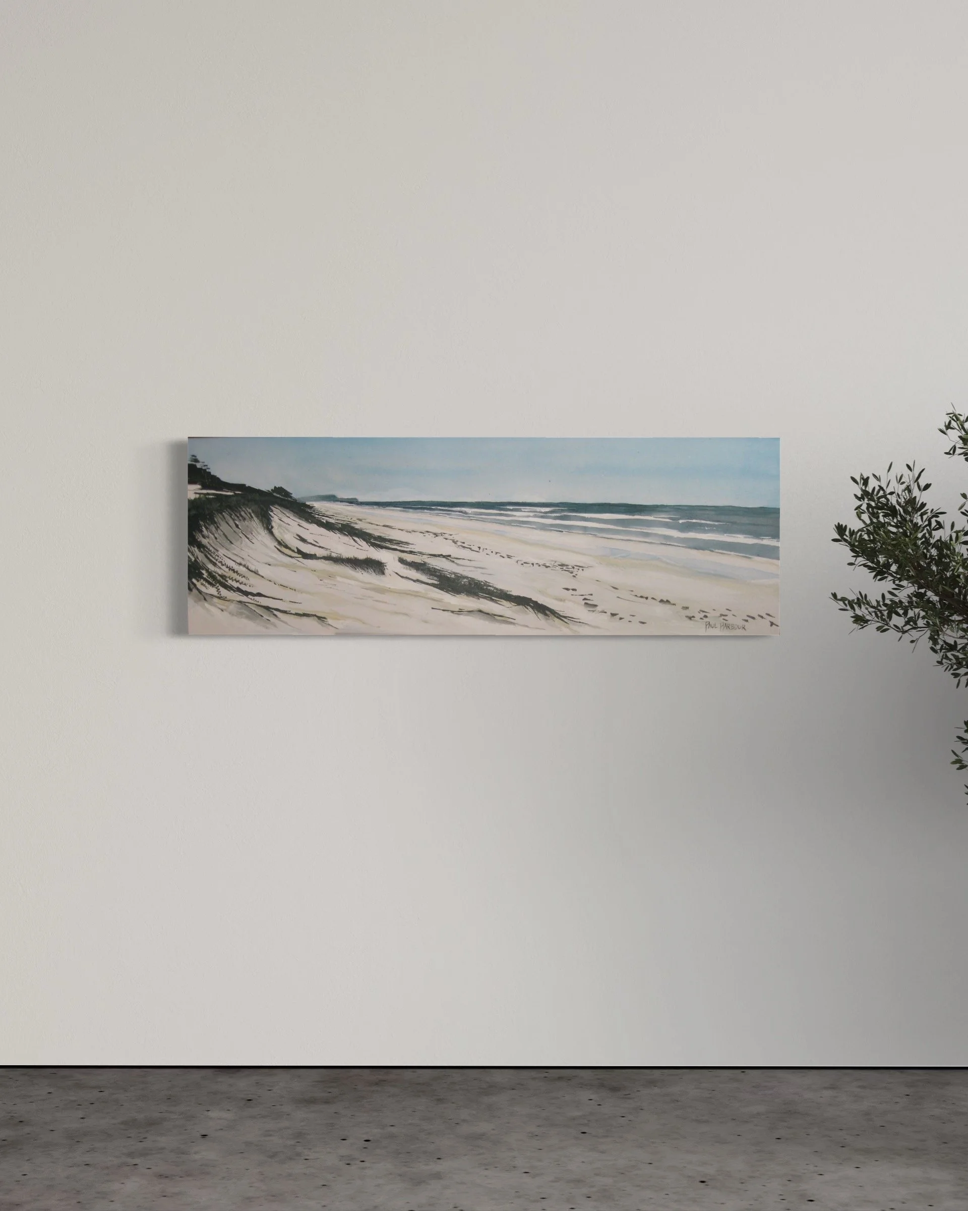 Access 57 no frame .JPG