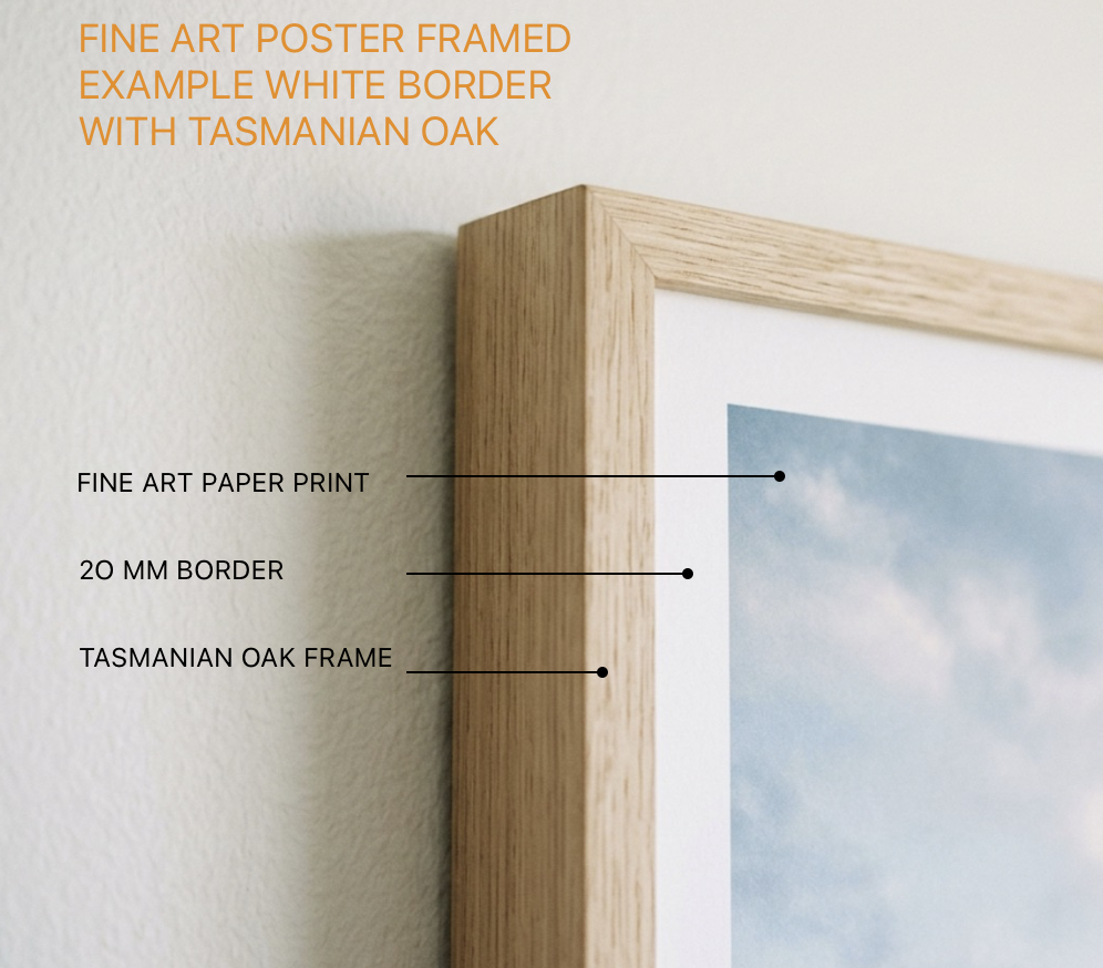 FRAME DETAIL POSTER.png