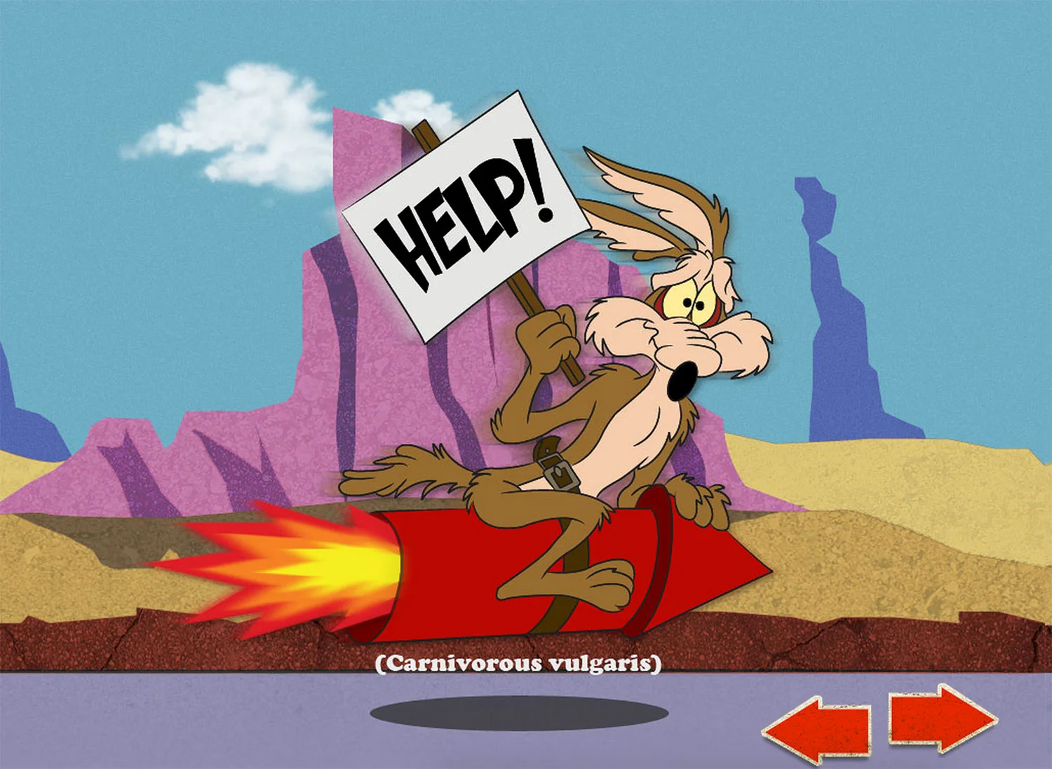 coyote_rocket.jpg