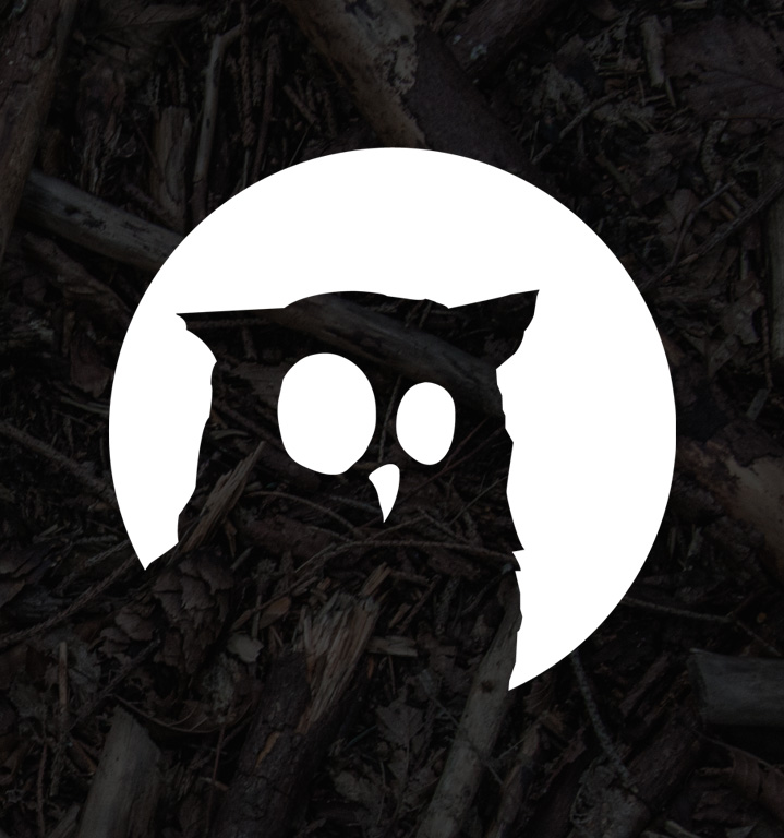 owl.jpg