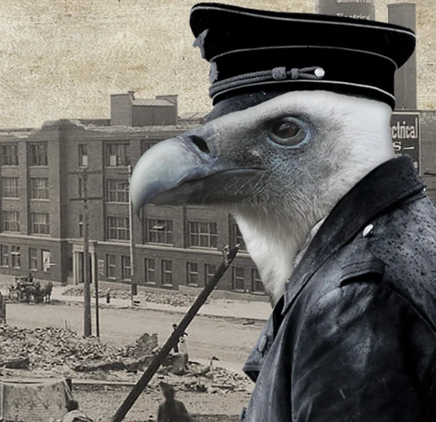 vulture.jpg