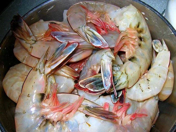 Festival del Camarón - Shrimp Festival San Felipe 2015