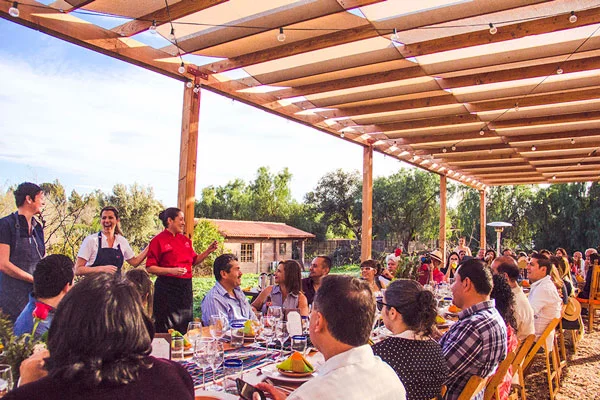 The Baja Kitchen Dinner - A Foodie's Dream!