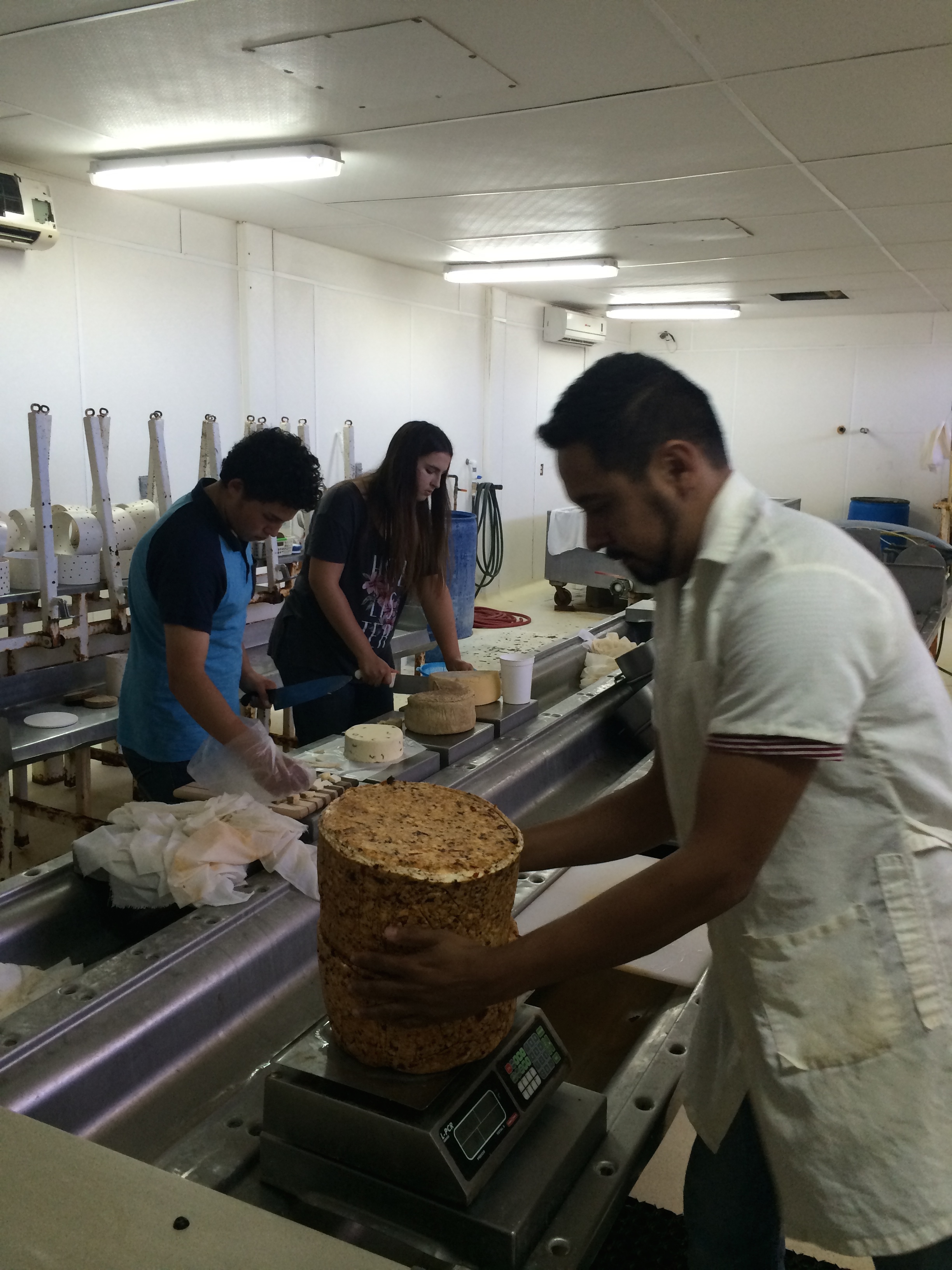 BTK ON TOUR: Making Cheese in the Valle de Guadalupe, Mexico