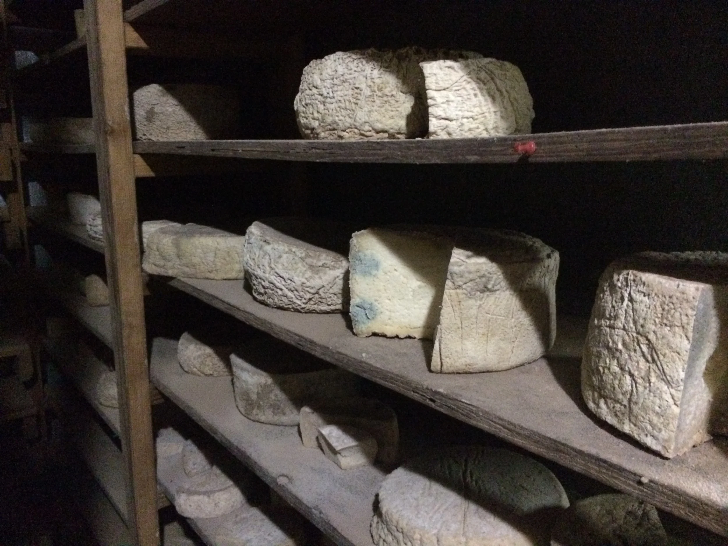 BTK ON TOUR: This artisan cheese has aged more than 6 months!