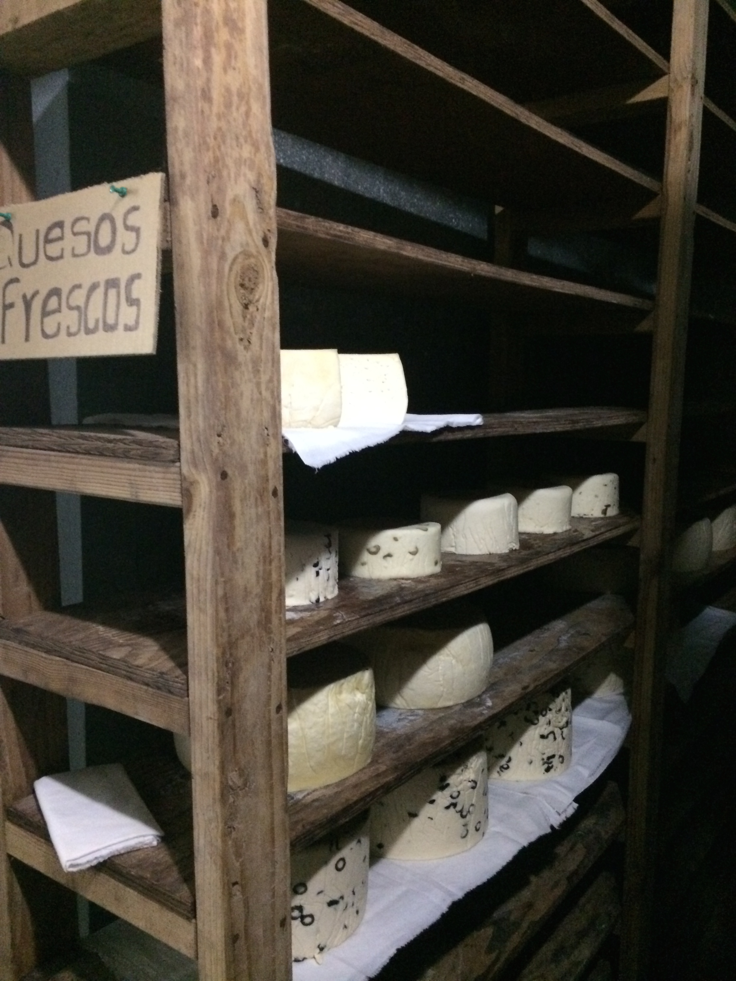 BTK ON TOUR: Not all cheese is aged.