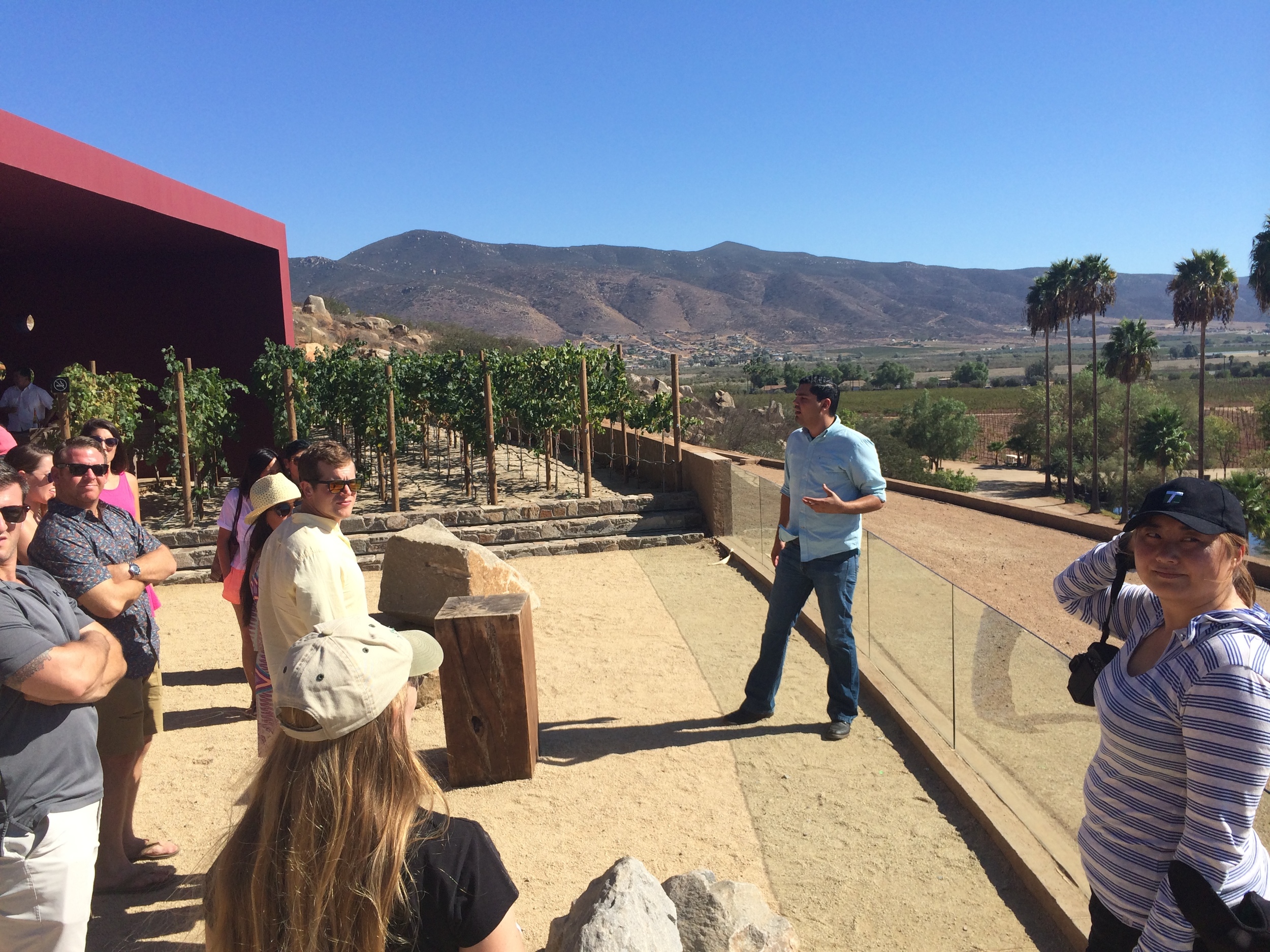 BTK ON TOUR: sommelier Jonathan recounts the Valle de Guadalupe's wine making history
