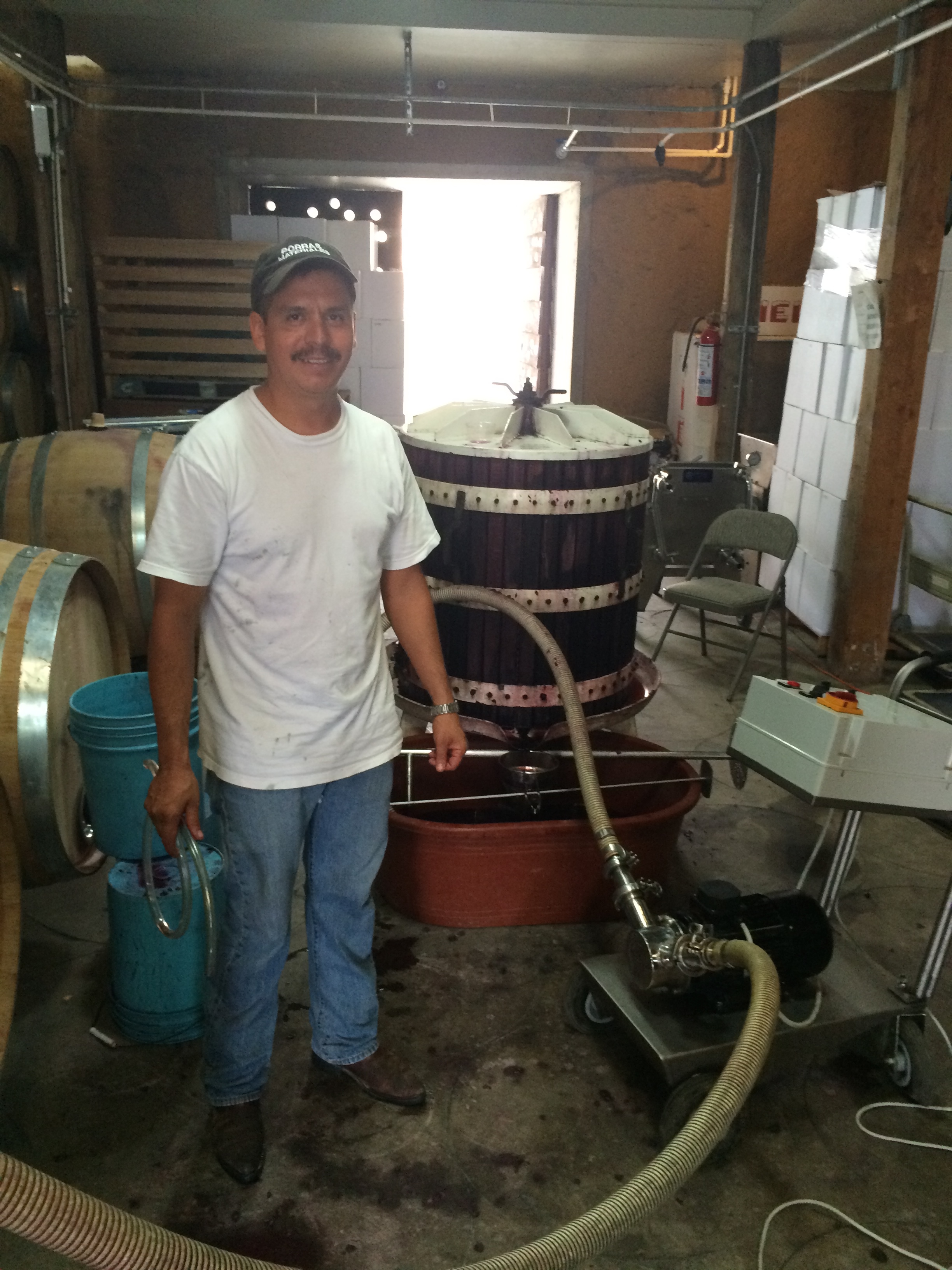 BTK ON TOUR: Pressing the grapes to make... wine!