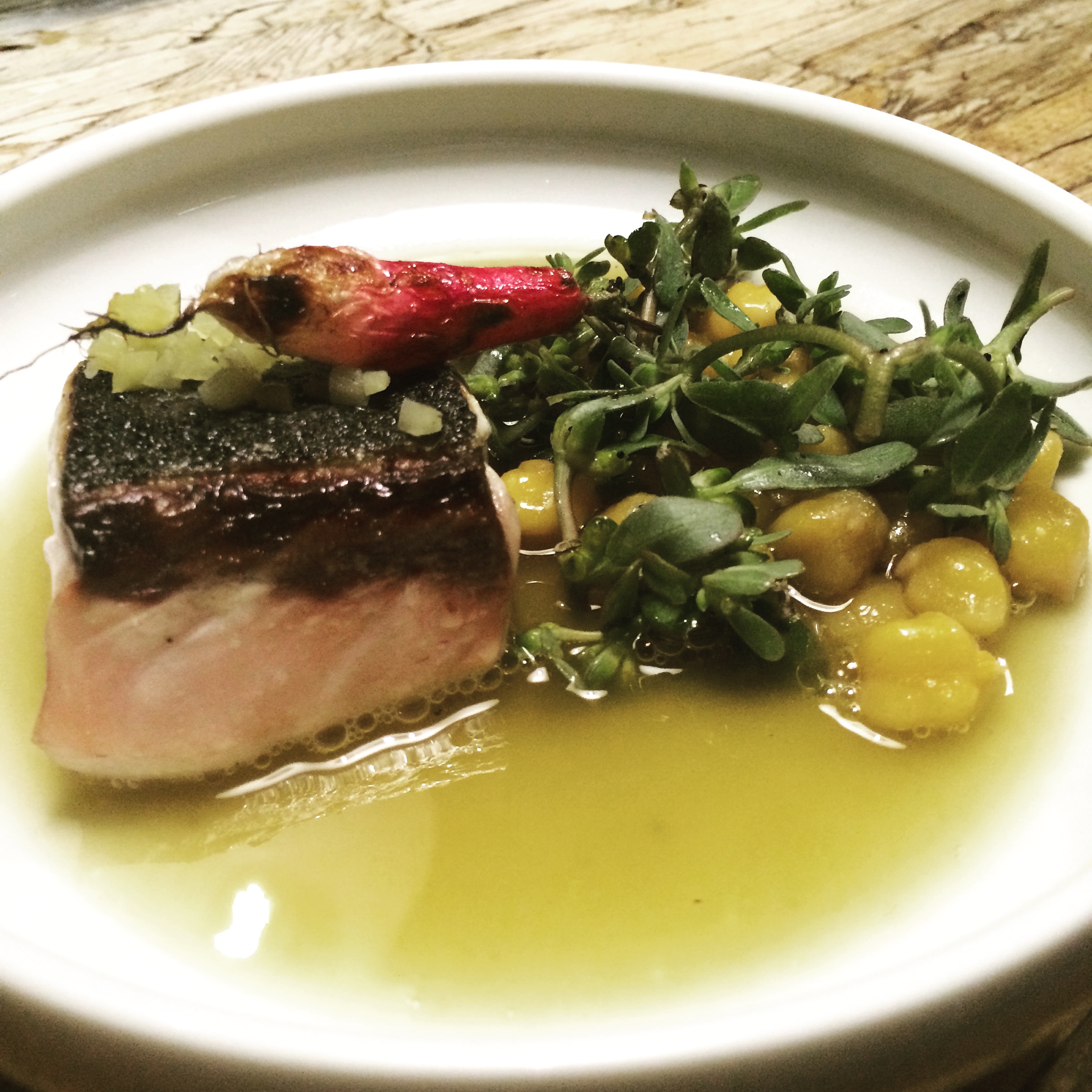 BTK ON TOUR: seared yellowtail at Corazón de Tierra