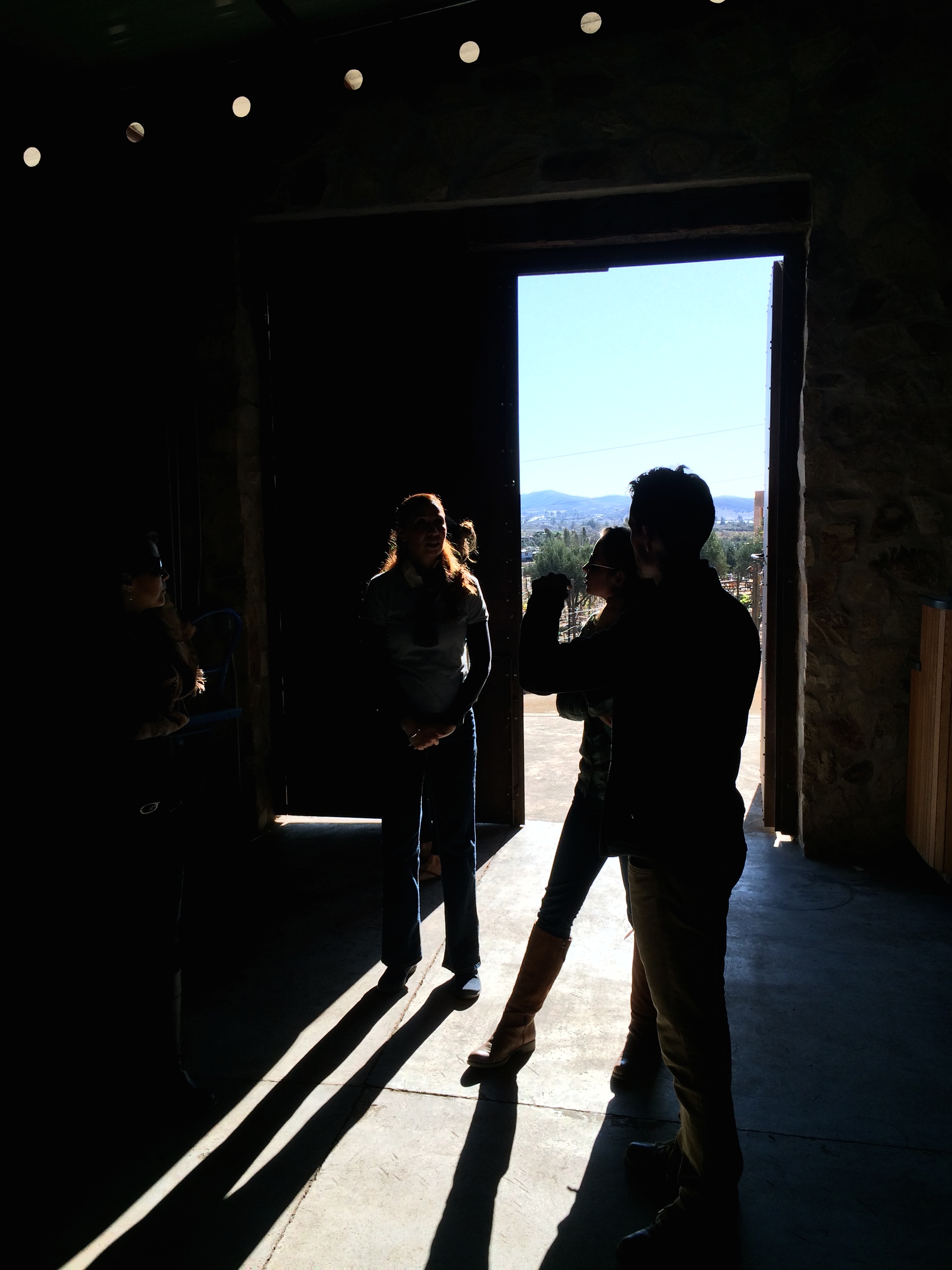 BTK ON TOUR: touring the wine making facilities at Vinos Pijoan