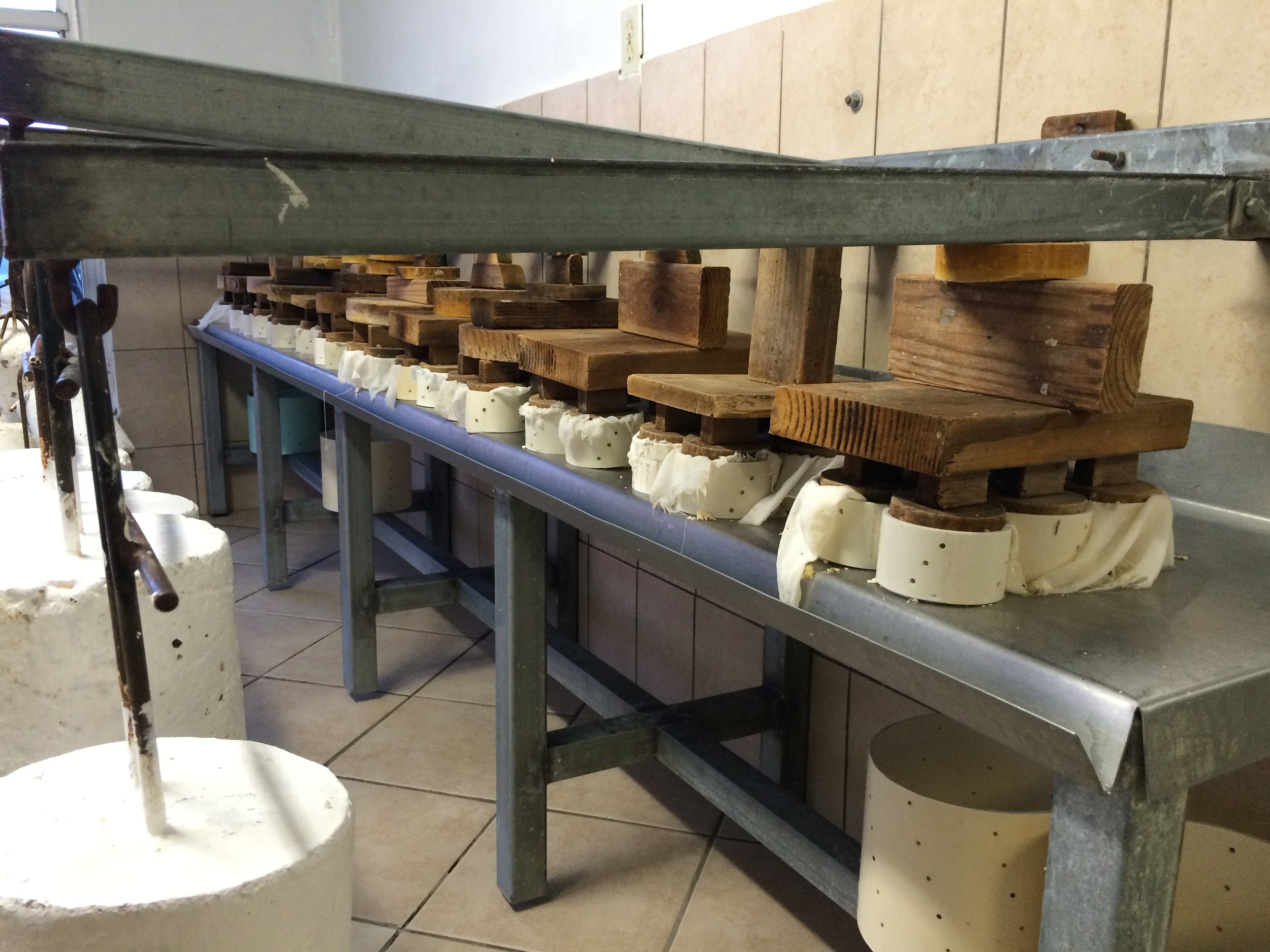The cheese making tour at Ojos Negros