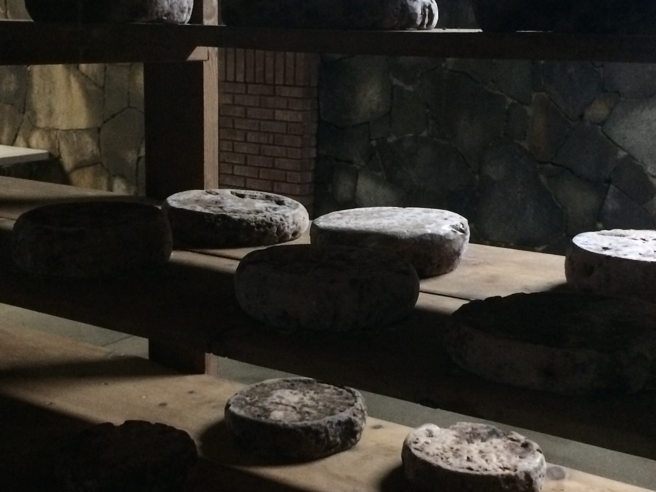 Aging Cheese at Ojos Negros