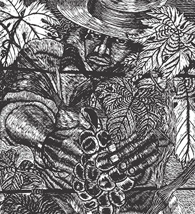 Valle de Guadalupe Vendimia Wine Harvest Festival