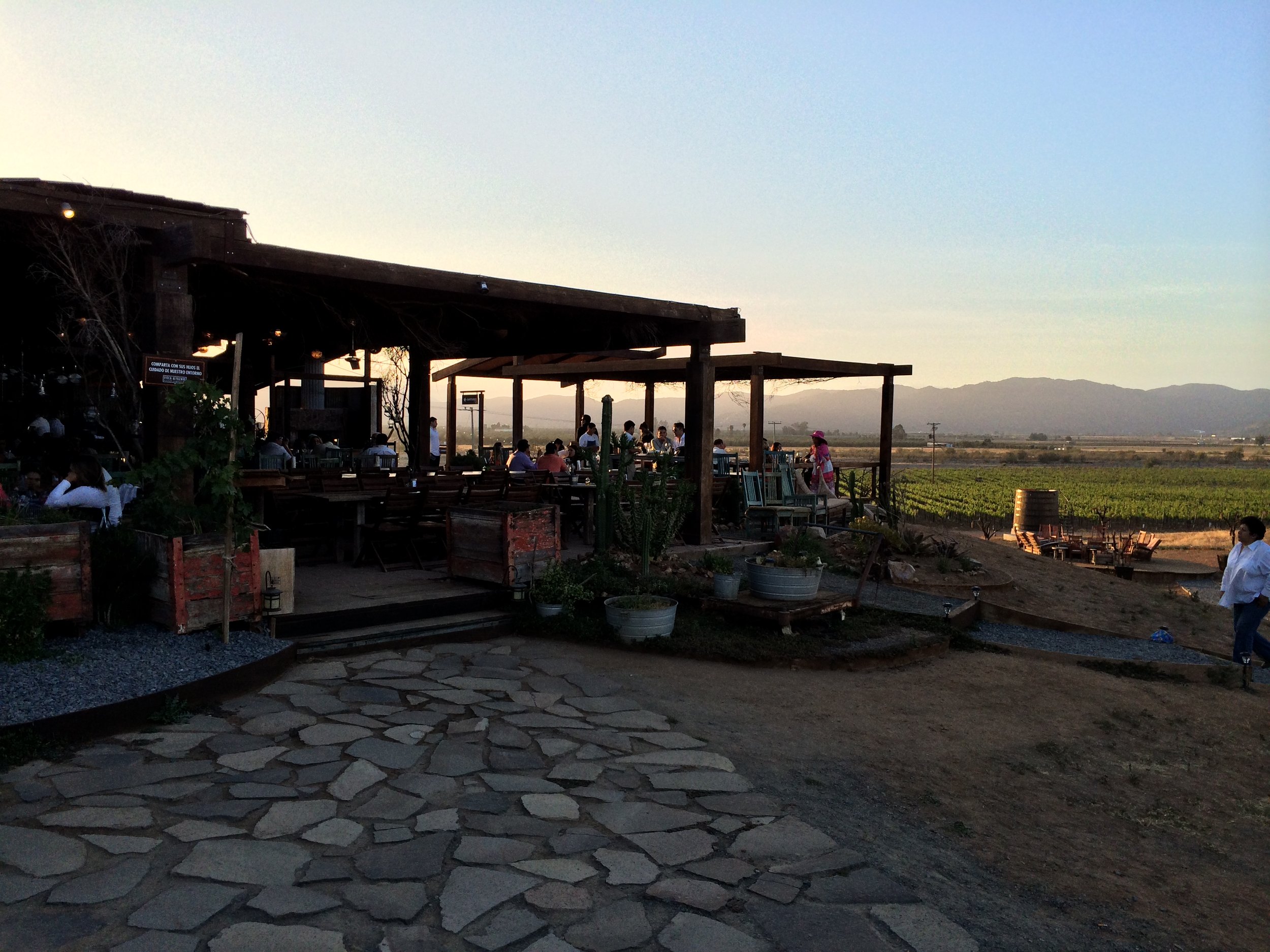 Curated Baja California Wine Country Tour (Sold Out - Join Waitlist)