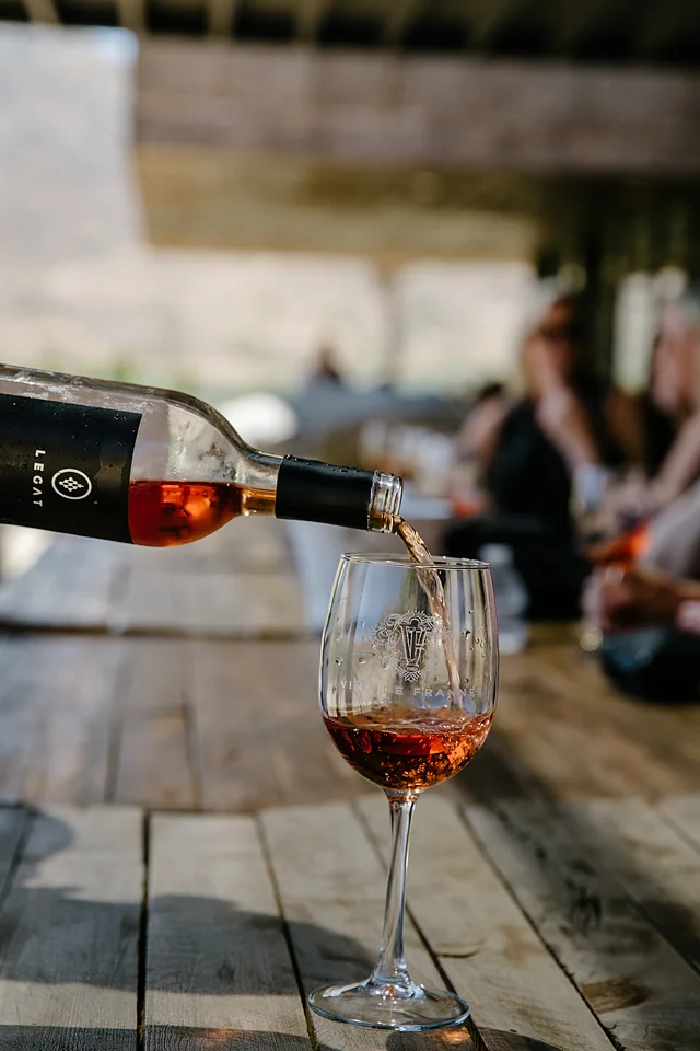 Baja California Wine Country Tasting Tour (Sold Out - Join Waitlist)