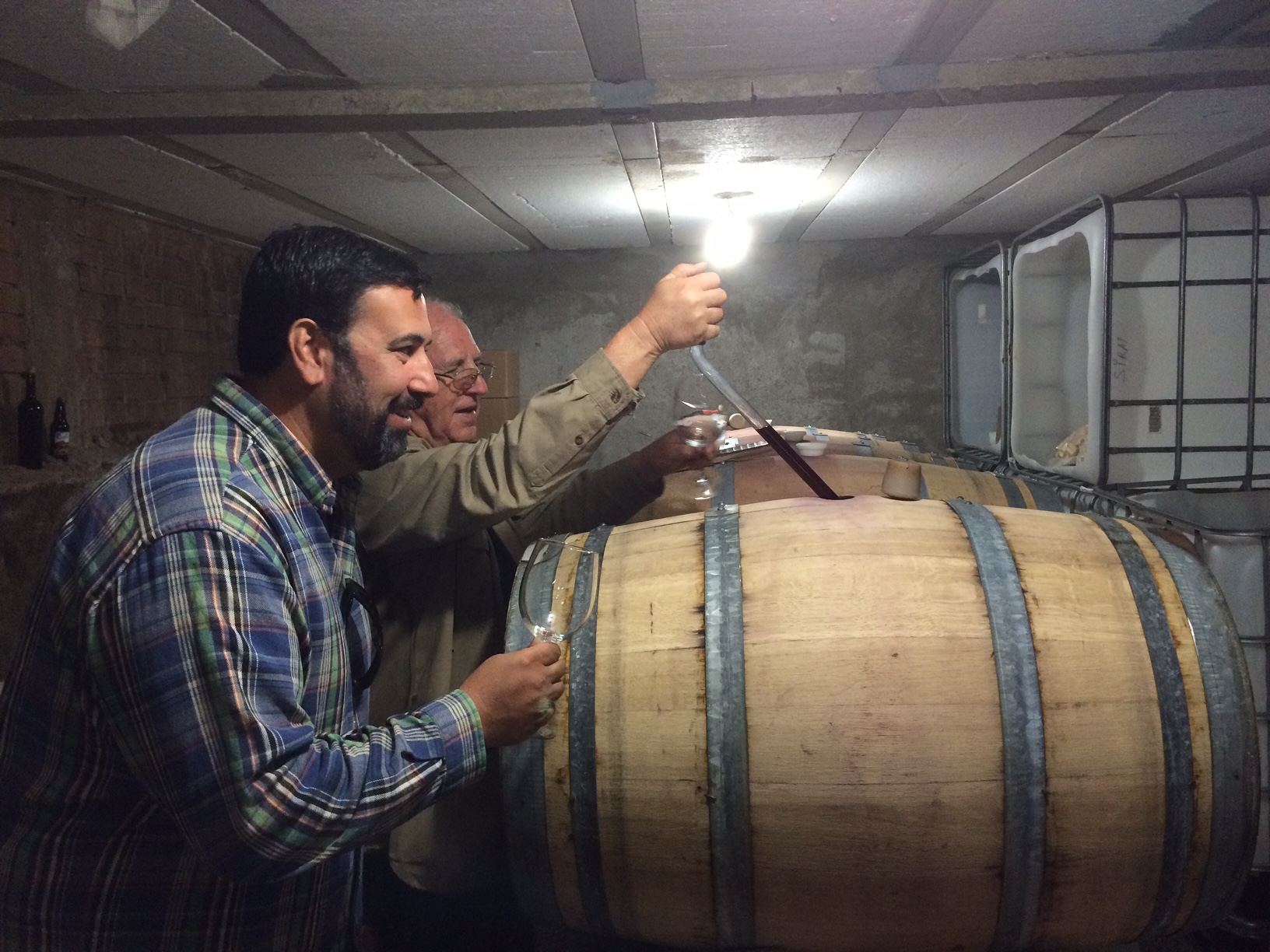 Valle de Guadalupe Premium Wine + Craft Beer + Gourmet Food Tasting Tour