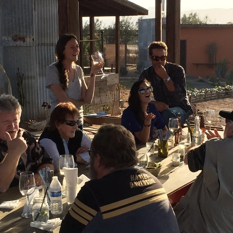 Valle de Guadalupe Premium Wine + Gourmet Food Tasting Tour (Sold Out