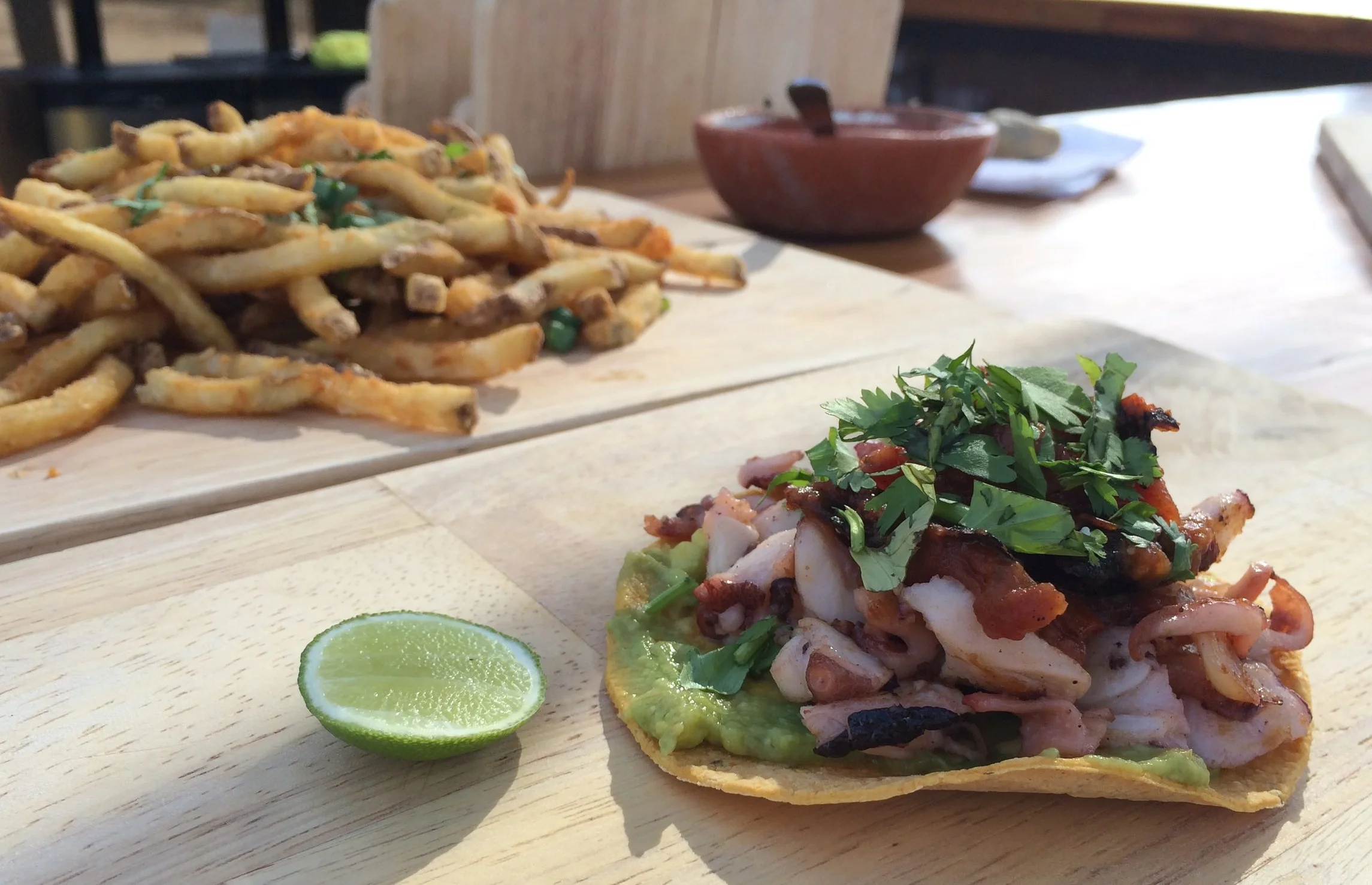 Valle de Guadalupe Premium Wine + Gourmet Food Tasting Tour (Sold Out)