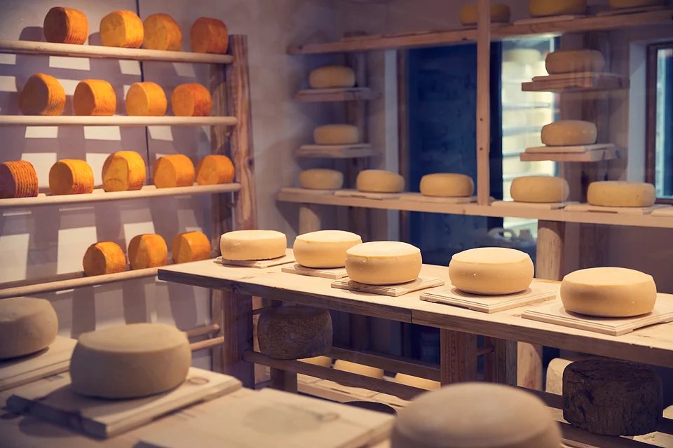 Los_Globos_Cheese_21.jpg