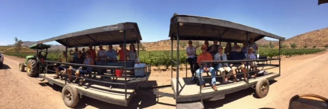 Santo-Tomas-Tractor-Wine-Pull-3.jpg