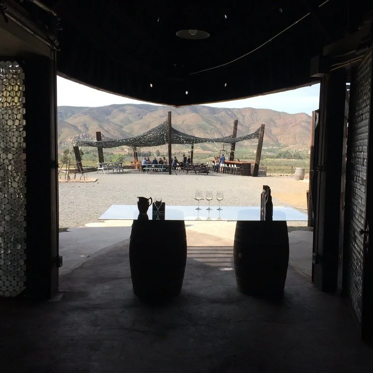 Vena_Cava_Winery_View_1_Copyright_Baja_Test_Kitchen_2017.jpg