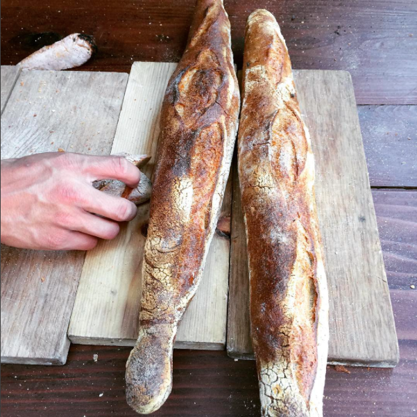 Finca_Rustic_Bread_1_Copyright_Baja_Test_Kitchen_2017.png