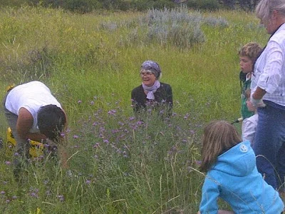 Weed%2BPull%2BVolunteer%2Bwith%2BKnapweed%2Bpatch-713496.jpg