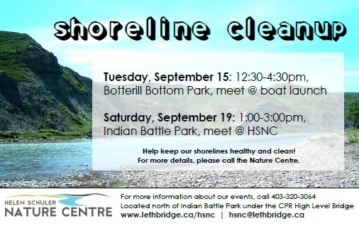 September Shoreline Clean-Ups