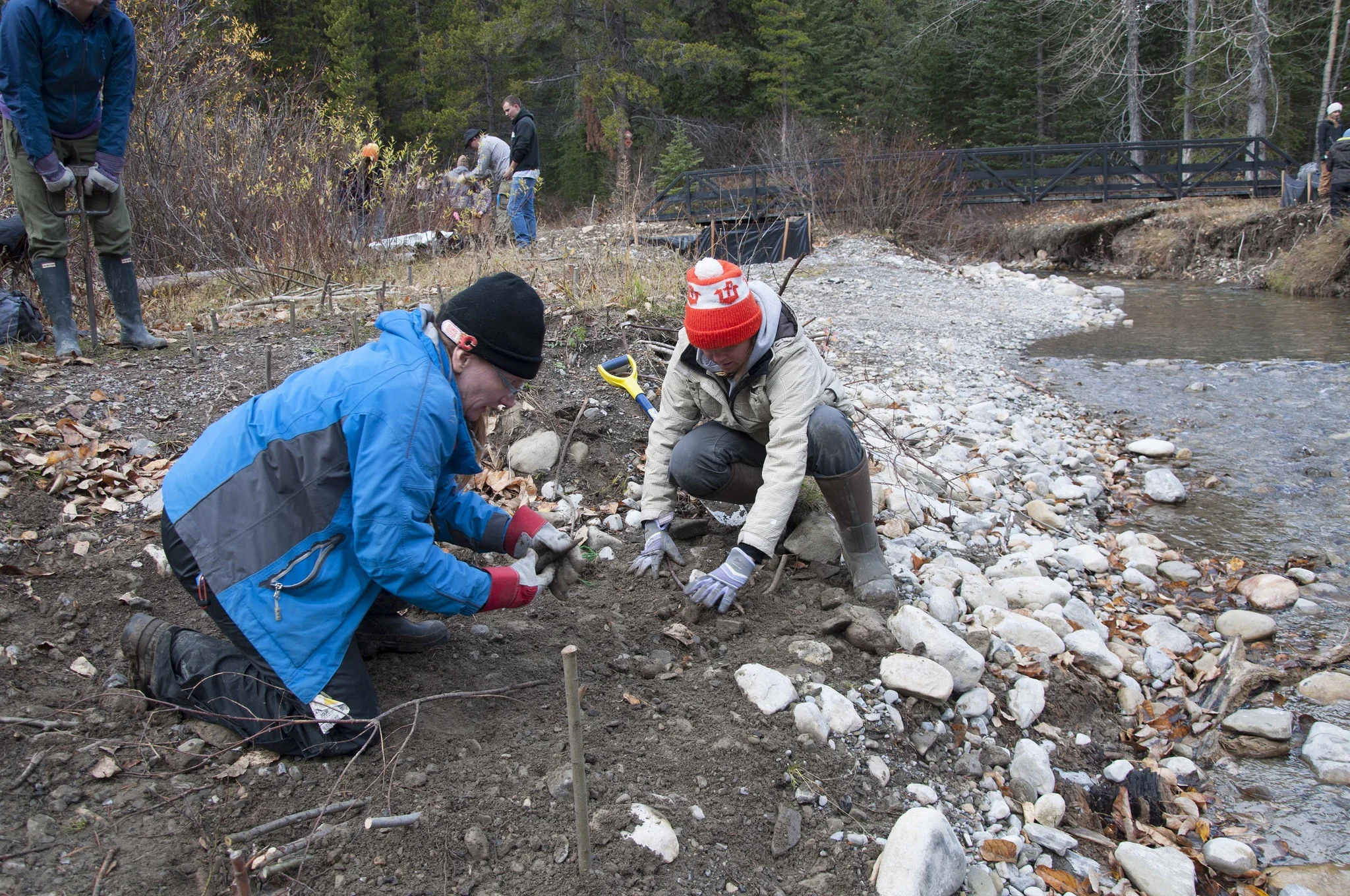 What's happening in the headwaters?